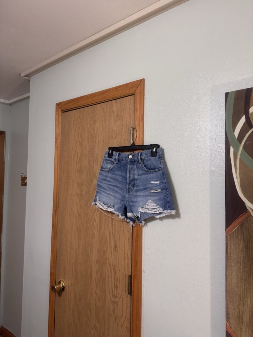PacSun "Vintage High Rise" Size 26 Button-Fly Distressed/Destroyed Denim Shorts